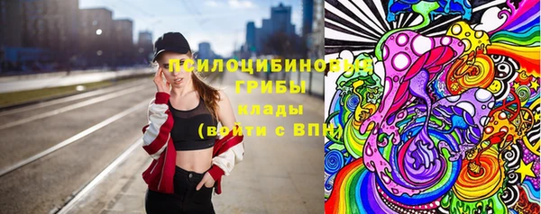шишки Бугульма